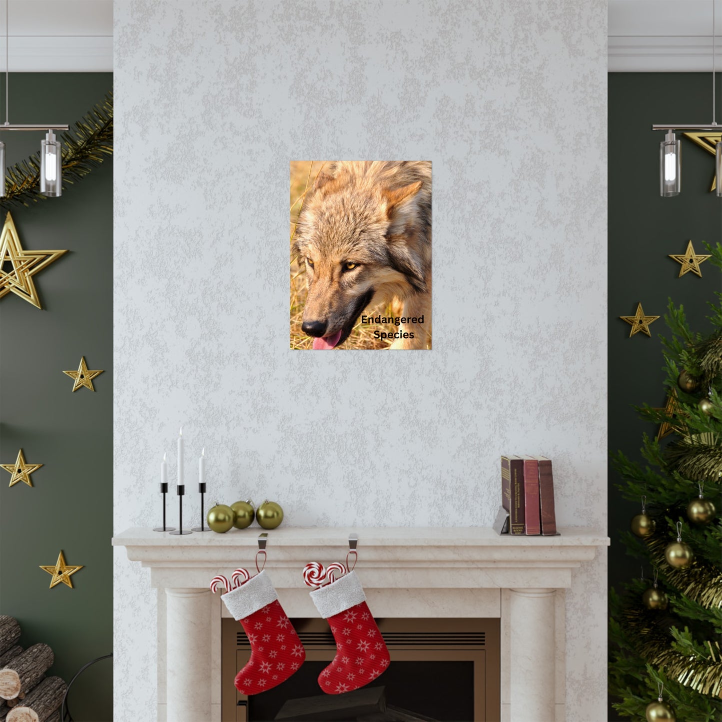 Wolf Poster, Wolf Wall Art, Photo by A. B. Petrow, Endangered Animal, Yellowstone wolf.