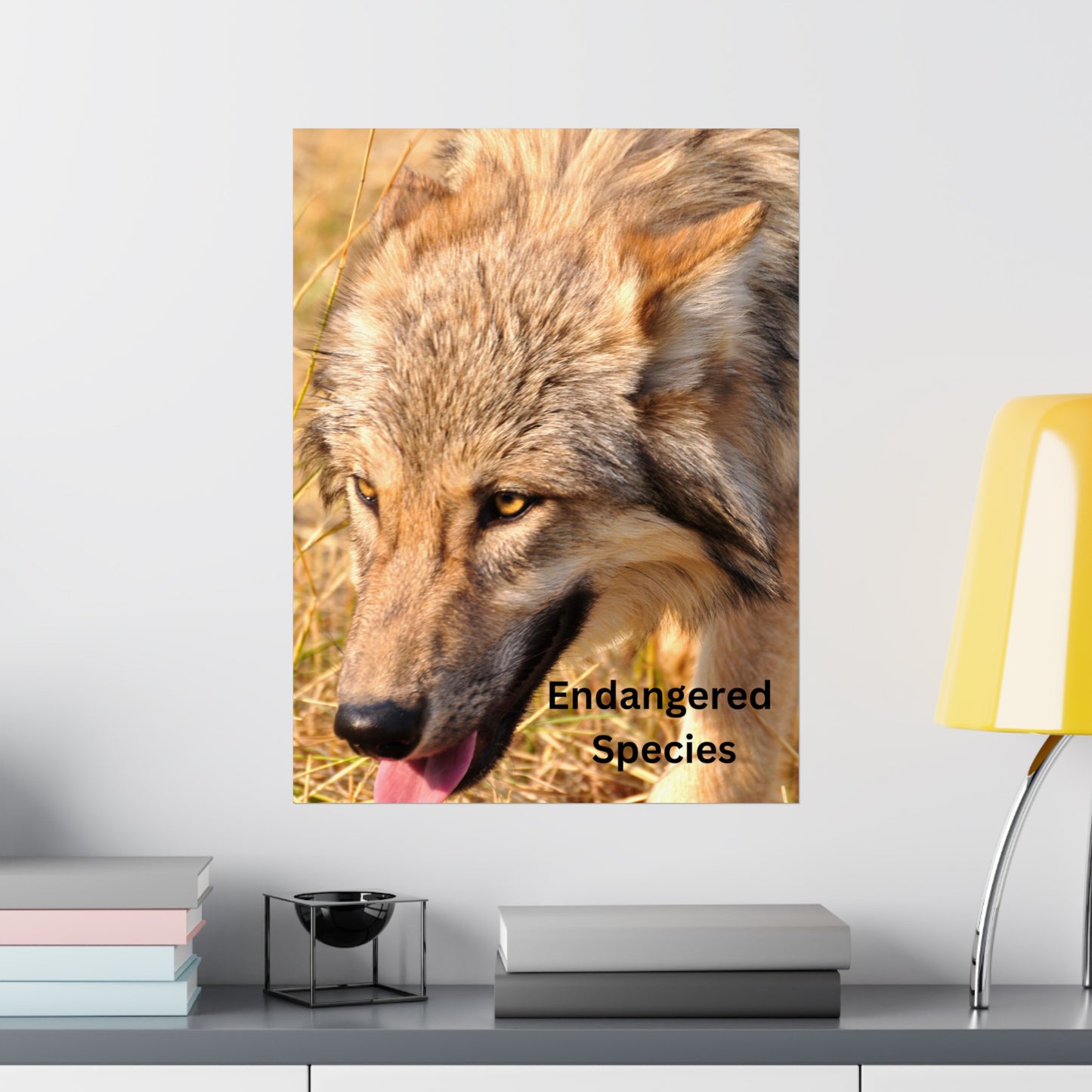 Wolf Poster, Wolf Wall Art, Photo by A. B. Petrow, Endangered Animal, Yellowstone wolf.