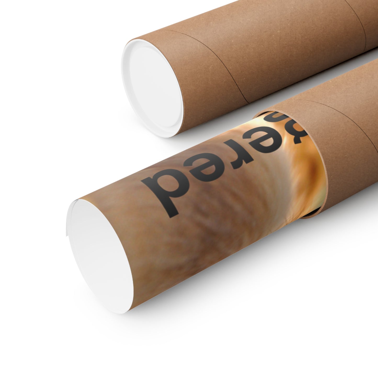 Wolf Poster, Wolf Wall Art, Photo by A. B. Petrow, Endangered Animal, Yellowstone wolf.