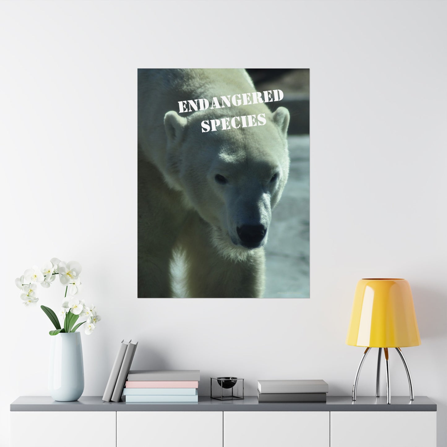 Polar Bear Poster, Endangered Species Wall Art, Endangered Animals, Not AI, Photo by A. B. Petrow