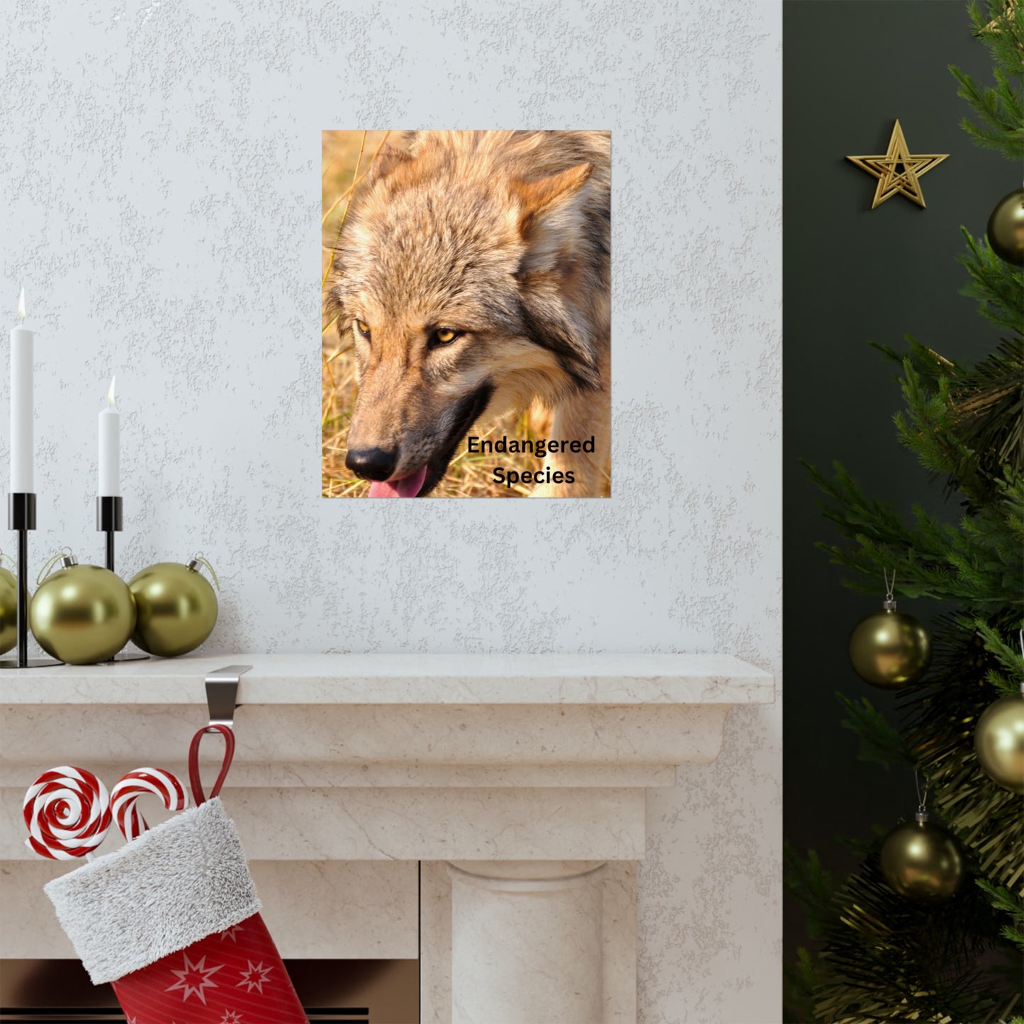 Wolf Poster, Wolf Wall Art, Photo by A. B. Petrow, Endangered Animal, Yellowstone wolf.