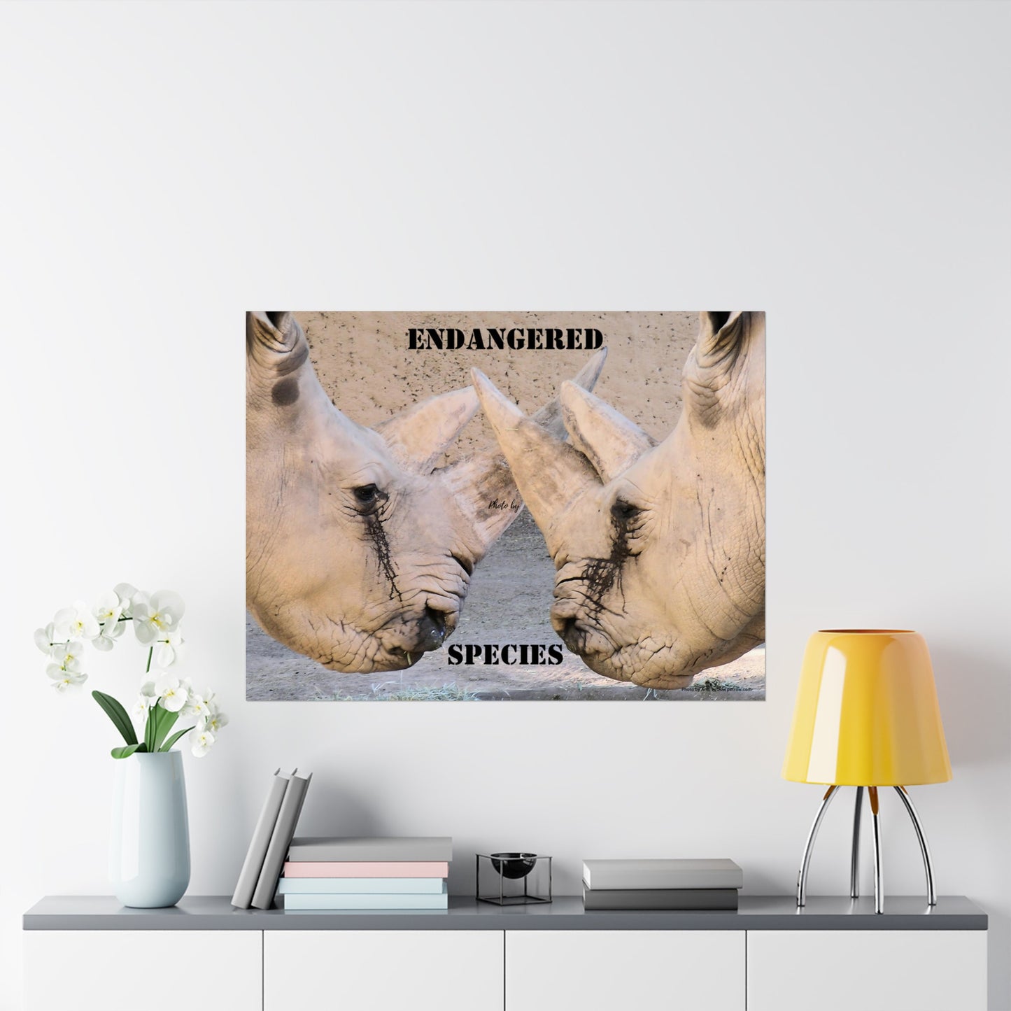Rhinoceros PosterRhino Wall Art Photo by A. B. Petrow, not A I, endangered species.