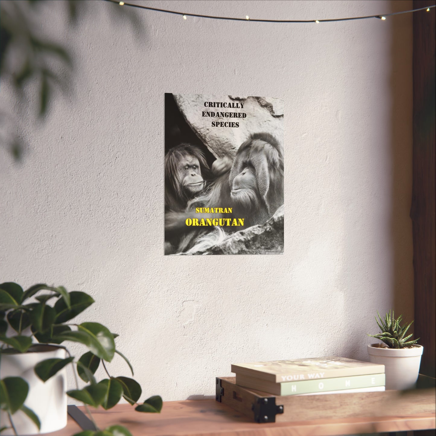 Orangutans, Orangutan Poster, Wall Art, Photo by A. B. Petrow, not A I. Endangered Species.