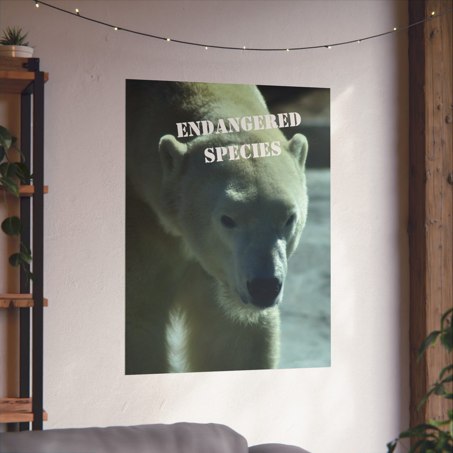 Polar Bear Poster, Endangered Species Wall Art, Endangered Animals, Not AI, Photo by A. B. Petrow