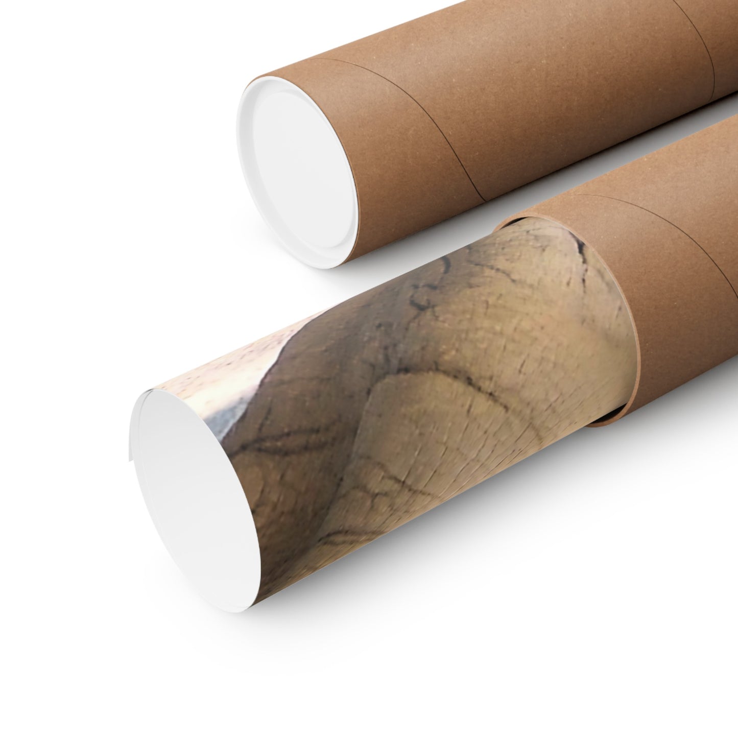 Rhinoceros PosterRhino Wall Art Photo by A. B. Petrow, not A I, endangered species.