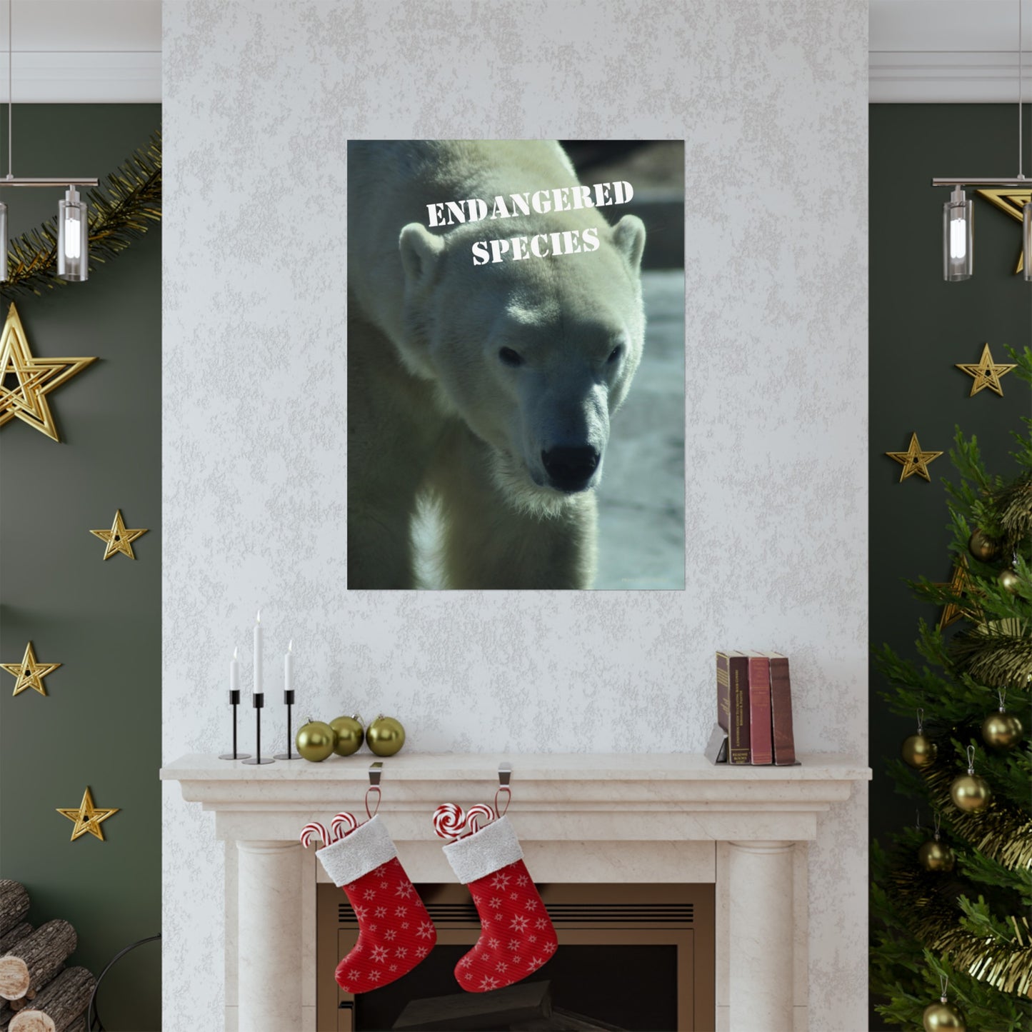 Polar Bear Poster, Endangered Species Wall Art, Endangered Animals, Not AI, Photo by A. B. Petrow