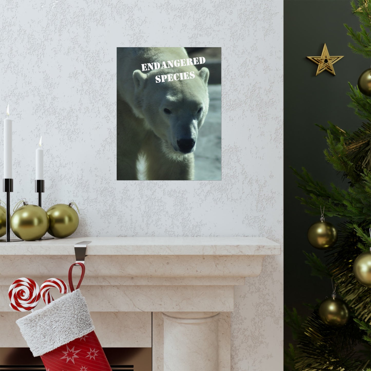 Polar Bear Poster, Endangered Species Wall Art, Endangered Animals, Not AI, Photo by A. B. Petrow