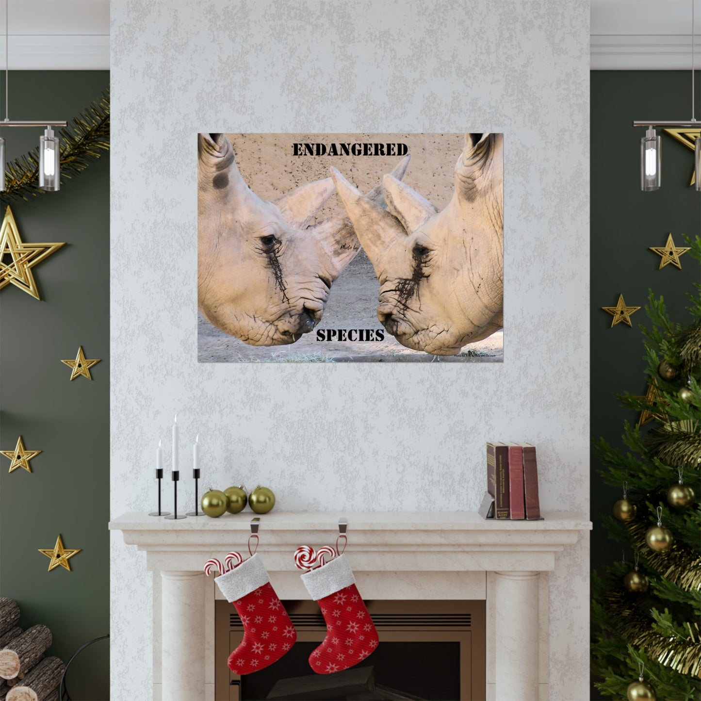 Rhinoceros PosterRhino Wall Art Photo by A. B. Petrow, not A I, endangered species.