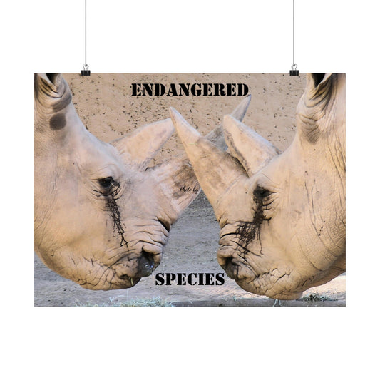 Rhinoceros PosterRhino Wall Art Photo by A. B. Petrow, not A I, endangered species.