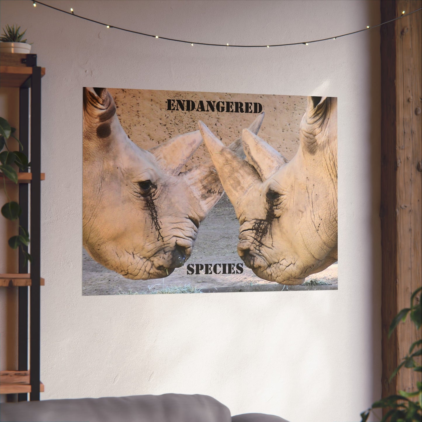 Rhinoceros PosterRhino Wall Art Photo by A. B. Petrow, not A I, endangered species.