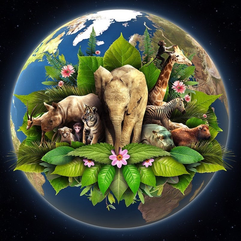 Rhinoceros Necklace Recycled Sterling Silver .925 Cable Chain Endangered Species