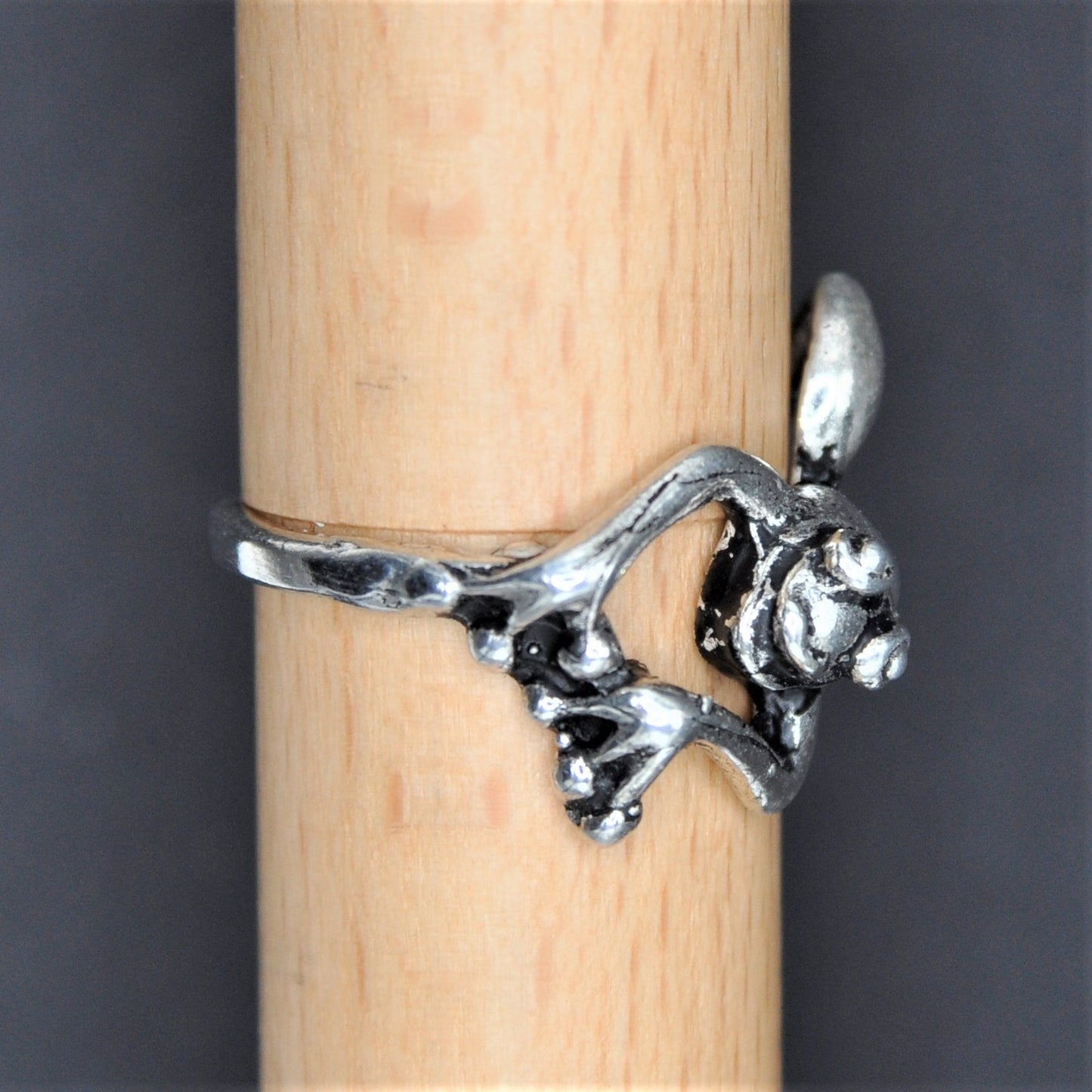 Tree Frog Ring Sterling Silver Endangered Species Handcrafted Size 6-10